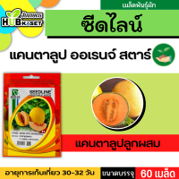 ซีดไลน์ ?? แคนตาลูป ออเรนจ์ สตาร์ ขนาดบรรจุประมาณ 60 เมล็ด อายุเก็บเกี่ยว 30-32 วัน