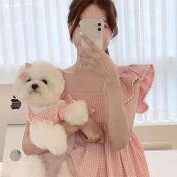 Pet Summer Lace Dress Cute Plaid Dog Dress Teddy Pink Princess Dress Puppy Soft Camisole Puppy Wedding Dress XS-XL Clothing Shoes Accessories Costumes