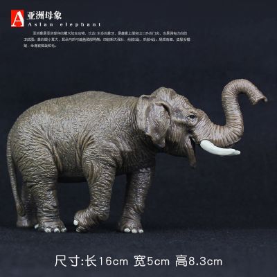 Simulation model of animal elephant toys large Asian elephants soft rubber solid plastic childrens boy furnishing articles present