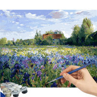 DIY painting by NUMBERS Kit ระบายสีโดยตัวเลขรูปภาพโดยตัวเลขของตกแต่งบ้าน