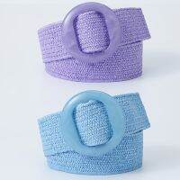 Beltox Women Straw Woven Elastic Wide Belt Solid Color With Matching Plastic Buckle