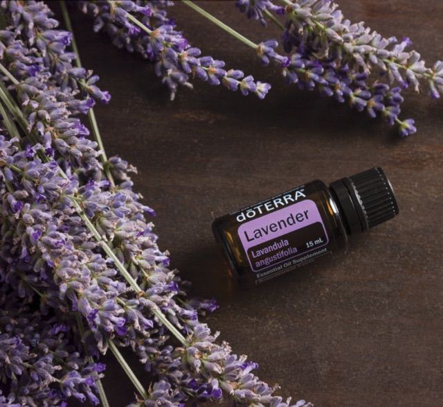 น้ำมันหอมระเหย-ลาเวนเดอร์-lavender-essential-oil-กลิ่นหอมลาเวน