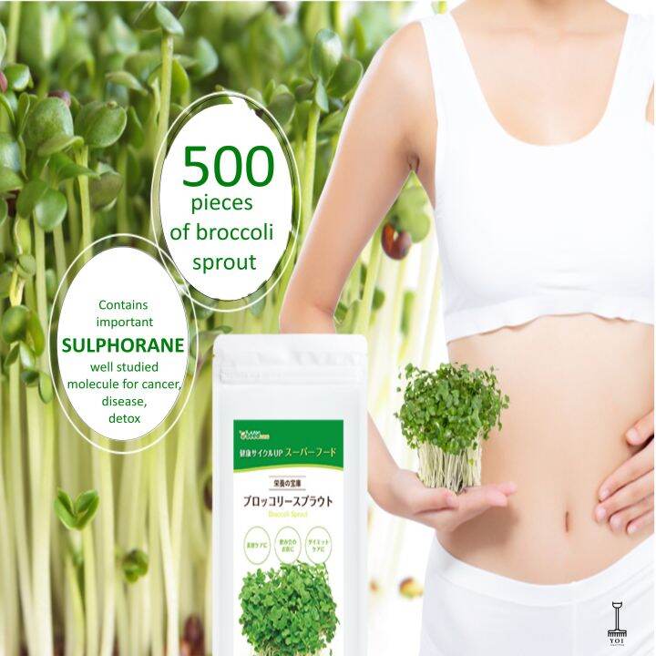 Broccoli Sprouts (Detox of Liver, Kidneys and Bladder/Brain