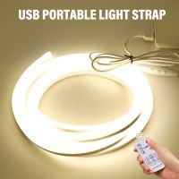 DC5V USB PIR Motion Sensor Kitchen LED Strip Hand Sweep Waving ON OFF RF Remote Control Flexible neon night light cabinet stripe