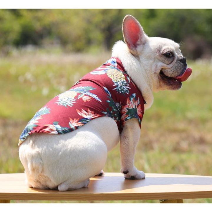 เสื้อฮาวายไซด์ใหญ่-เสื้อหมา-เสื้อสุนัข-hawaii-pet-shirt-เสื้อเชิ๊ตหมา-เสื้อเชิ๊ตสุนัข