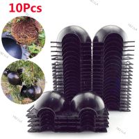 10pcs Plant Rooting Ball Fruit Tree Root Grow Box Plastic Case Propagation Box Grafting Rooter Growing High-pressure YB21TH