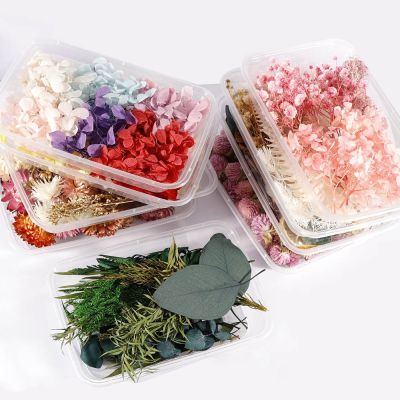 [AYIQ Flower Shop] ดอกไม้แห้งเรซิ่นอีพ็อกซี่ทำดอกไม้วัสดุสำหรับเทียน DIY ที่เก็บรักษาดอกไม้ผสมแห้ง