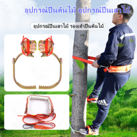 อุปกรณ์ปีนต้นไม้ Tree Climbing ที่ปีนต้นไม้ ปีนต้นไม้ รุ่น อุปกรณ์ปีนต้นไม้ อุปกรณ์ปีนเสาไม้ รองเท้าปีนต้นไม้ เข็มขัดเซฟตี้ เข็มขัดนิรภัยคาดเอวครึ่งตัว ตะขอใหญ่ เหนียวแน่น ทนทาน สายรัด เพื่อความปลอดภัย SAFETY BELT เข็มขัด นิรภัย