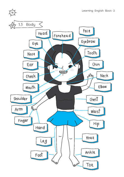 learning-english-book-2-ป-2-พิมพ์-2-สี-แถมฟรีเฉลย