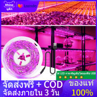 【คลังสินค้าพร้อม】0.5M/1M/2M/3M/5M Rhine LED Grow Light Full Spectrum USB Grow Light Strip 0.5M 1M 2M 3M 5M 2835 DC5V LED Phyto โคมไฟสำหรับพืชดอกไม้เรือนกระจก Hydroponic