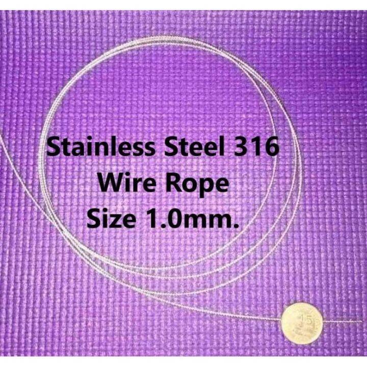 Stainless Steel Wire Rope SS 316 Size 1mm Lazada PH