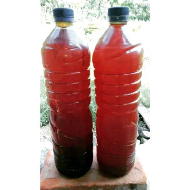 Cuka kayu wood vinegar untuk kawalan penyakit dan perosak organik 1