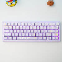 Catch Star Rabbit gradient ปุ่มกดสีม่วงสำหรับ61 63 64 68 87 104 Alice Mechanical Keyboard OEM PBT Side Letter Backlight Key CAP