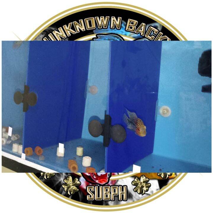 [100 New] Corrugated Aquarium Divider for 20 gallon 35 5075 gallon