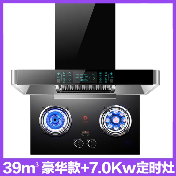 Japanese Cherry Blossoms Top Suction Range Hood EuropeanStyle