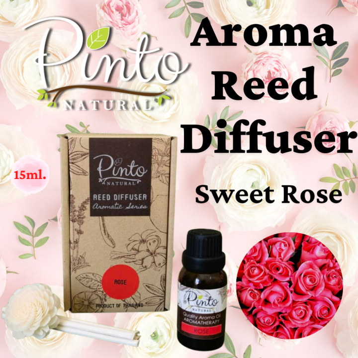 ใหม่-pinto-natural-ก้านไม้หอมปรับอากาศ-15ml-ไซส์มินิ-น้ำหอมปรับอากาศ-aroma-reed-diffuser-15ml