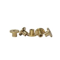 Link Cnc T10 Trapezoidal Screw Nut Brass Copper 10mm Lead for CNC Nails  Screws Fasteners