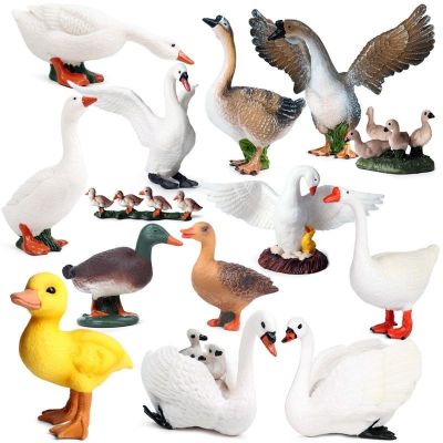 Solid simulation animal model toys suit poultry day chickens geese and ducks white swan model childrens cognitive furnishing articles