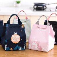 ▥✽﹉ Lunch Food Bag Picnic Bag Thermal Bag Children Lunchbox Food Storage Bag School And Work Food Bag