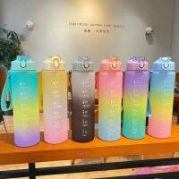 ถ้วยน้ำออกกำลังกายกลางแจ้งแบบไล่สีรุ้งขวดเครื่องดื่มกีฬาพลาสติก1000มล. ขวดน้ำ32ออนซ์ปกคลุมด้วยน้ำค้างแข็ง