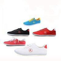 Superior Quality Summer Men Martial Arts Shoes Chinese Style Wushu Kung Fu Shoes Bruce Lee Tai Chi Old Beijing Training Unisex