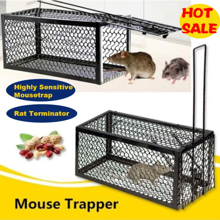 [Wondering] Mouse Trap Stainless Steel Rat Rodent Mice Catch Cage ...