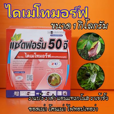 แซดฟอรัม 50จี ไดเมโทมอร์ฟ ป้องกันเชื้อรา ราน้ำค้าง1 กิโลกรัม #ฟอรัม ไฟท็อปเทอร่า ราดำ ราแห้ง รากเน่าโคนเน่า แซดฟอรั่ม ฟอรั่ม