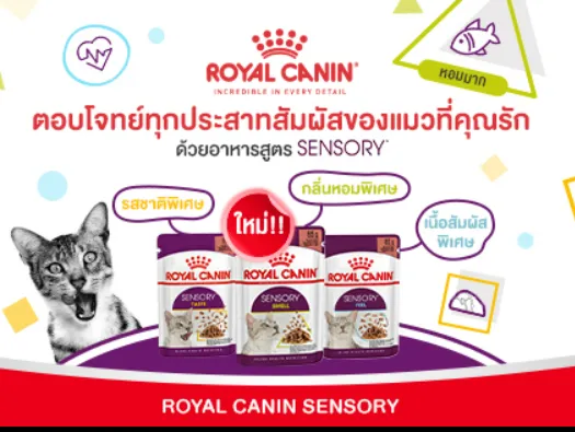 12ซอง-royal-canin-sensory-gravy-อาหารเปียกสำหรับแมวโต-อาหารแมวโตช่างเลือก