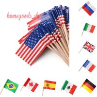 50Pcs Mini Toothpick Pick Flags 20 Countries World Flags Cocktail Decor Olympic