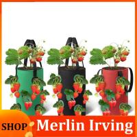 Merlin Irving Shop 3 Gal 12 Holes Strawberry Grow Pot Bags Plants Flower Tomato Growing Garden Wall Hanging Vegetable Root Planting Her