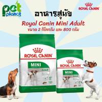 [2kg.][800g.] อาหารสุนัข Royal Canin Mini Adult โรยัลคานิน อาหารสำหรับ สุนัข สุนัขทุกสายพันธุ์อาหารหมา  สุนัข หมา อาหารสุนัขแบบแห้ง อาหารสัตว์เลี้ยง