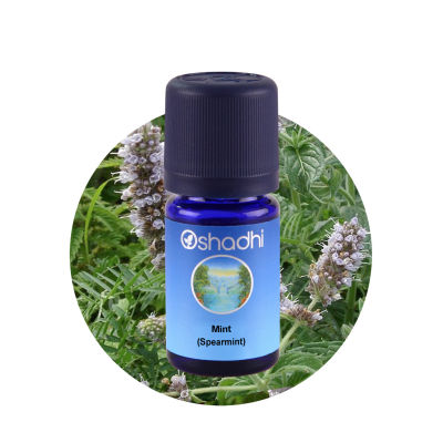 Oshadhi Mint (Spearmint) Essential Oil น้ำมันหอมระเหย (10 ml)