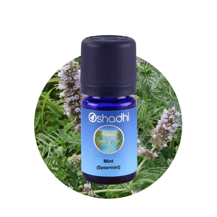 oshadhi-mint-spearmint-essential-oil-น้ำมันหอมระเหย-10-ml