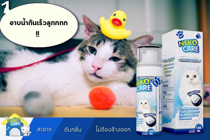 neko-care-โฟมอาบน้ำแมว-โฟมอาบน้ำแห้ง-แชมพูอาบน้ำ-แชมพูโฟมอาบแห้งน้องแมว-ฟองโฟมอาบน้ำ-แชมพูอาบน้ำแมว-ชมพูอาบน้ำแมว-ดับกลิ่น