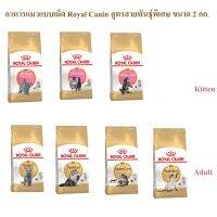 นาทีทอง !!! ส่งฟรี อาหารแมว Royal Canin Persian สูตรเฉพาะสายพันธ์ุ 2 กก.