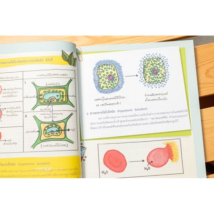 a-หนังสือ-drawing-of-biology-ภาพจำ-ชีววิทยา-พิชิตข้อสอบเต็ม-100