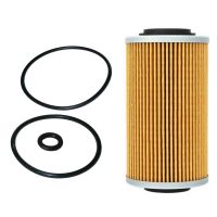 1 Set Engine Oil Filter Fit for Can-Am SE6-SM6 Spyder Models with 1330 Motors the ACE 1300 RT F3