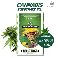 พีทมอส ปลูกกัญชๅ กัญชง พืชสายเขียว 50 ลิตร (นำเข้าเนเธอแลนด์) Cannabis Substrate (VAN EGMOND)