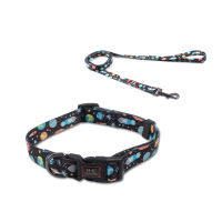 Polyester Dog Collar Adjustable Pet Leash Set Dog Walking Outdoors Small And Medium Pet Dog Leash Dog Leash And Collar Set