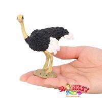 Monkey Toys - โมเดลสัตว์ Ostrich นกกระจอกเทศ ขนาด 9.50 CM (จากหาดใหญ่)