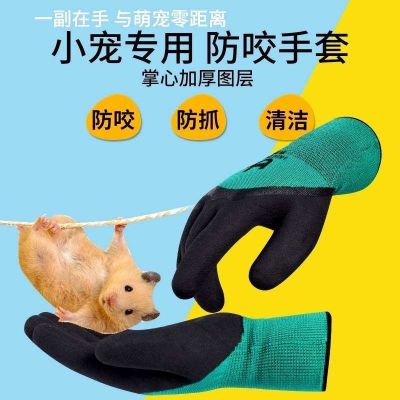 High-end Original Anti-bite gloves hamster supplies anti-cat scratch golden bear parrot anti-scratch and bite small pet childrens protective gloves animal