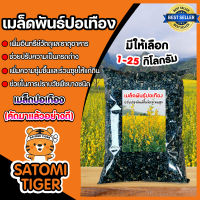 เมล็ดพันธุ์ปอเทือง มีให้เลือกปริมาณ 1-25 กิโลกรัม ดอกปอเทือง ดอกเหลือง เมล็ดพันธุ์คุณภาพดี พืชบำรุงดิน ให้ปุ๋ยอินทรีย์