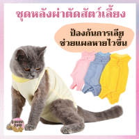 BJ Pet - ชุดหลังผ่าตัด เสื้อหลังผ่าตัด สำหรับสัตว์เลี้ยง เสื้อกันเลีย ชุดกันเลีย เสื้อผ่าตัด สำหรับสัตว์เลี้ยง