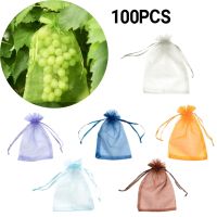 [ELEGANT] 100pcs Strawberry Grapes Fruit Protection Bags Pest Control Anti-Bird Garden Netting Bags Mesh Grape bag Planter Grow Bags