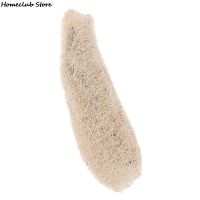 【hot】 Loofah Luffa Loofa Shower Sponge Cleaing Scrubber Remove Dead