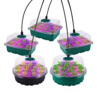 [hot]☁  Cultivation with Growing light Vegetable Succulent Breathable Germination