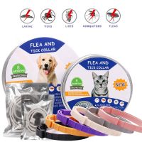 ZZOOI Pet Flea and Tick Collar for Dogs Cats Up To 8 Month Flea Tick Prevention Collar Anti-mosquito &amp; Insect Repellent Puppy Supplies