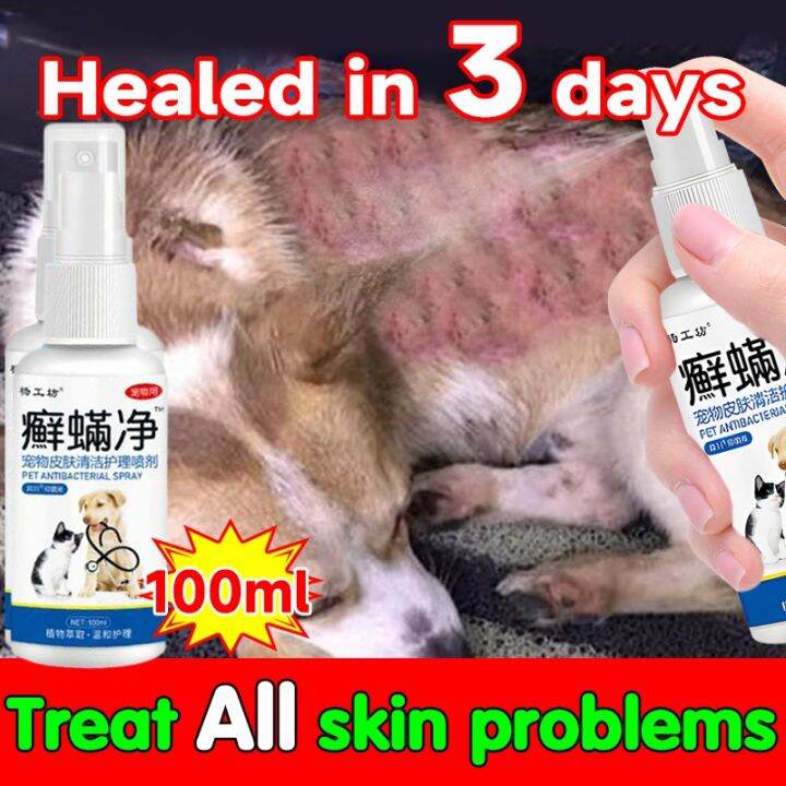 100ml Pet Skin Treatment Spray Dogs and Cats Anti-fungal Skin Disease ...