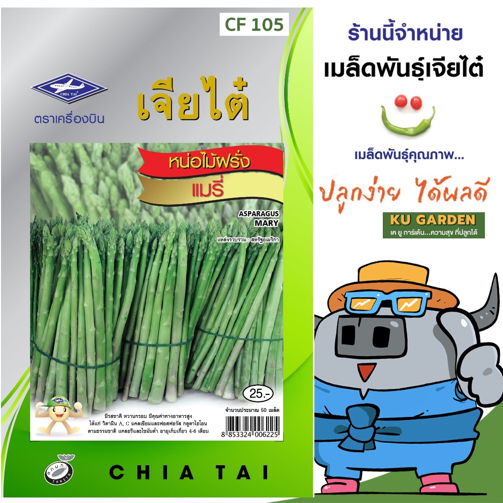 CHIATAI 🇹🇭 ผักซอง เจียไต๋ F105#หน่อไม้ฝรั่งแมรี่ F1 จำนวนประมาณ 50เมล็ด หน่อไม้ฝรั่ง เมล็ดพันธุ์ผัก เมล็ดผัก เมล็ดพืช ผักสวนครัว