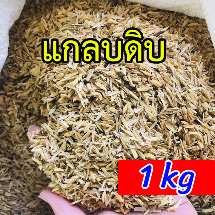 แกลบดิบ-แกลบข้าว-1-กิโล-homes